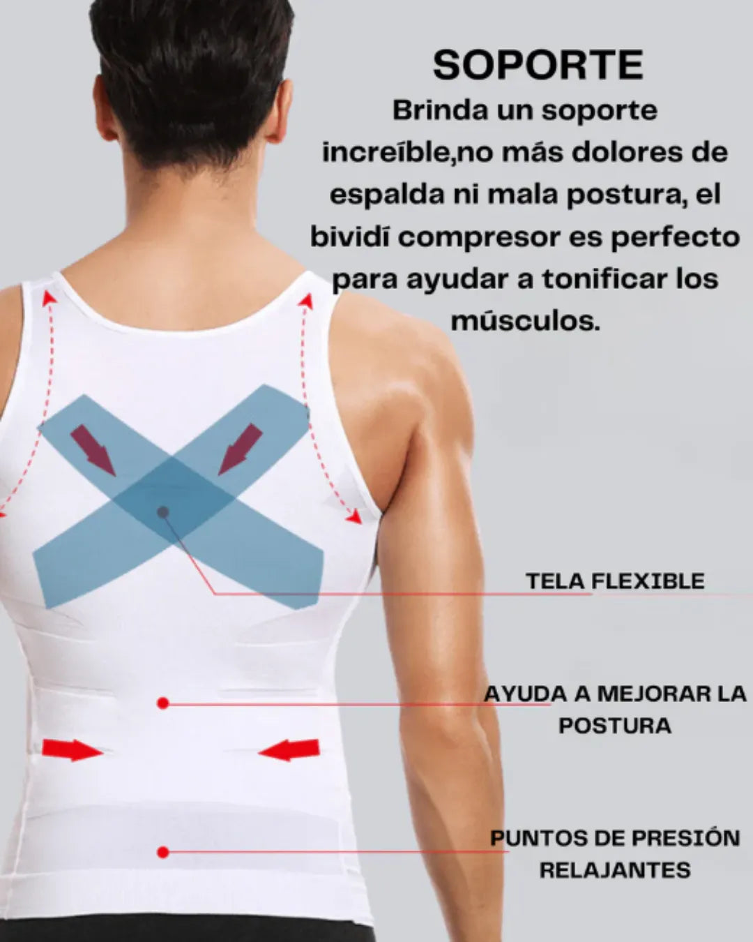 Bividi Estilizador Compresor + REGALO