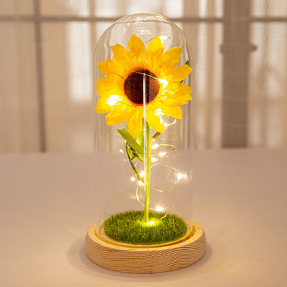 Girasol Eterno Capsulado