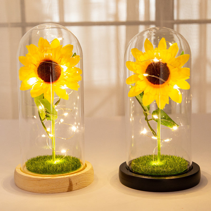 Girasol Eterno Capsulado