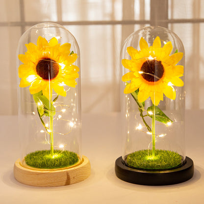 Girasol Eterno Capsulado
