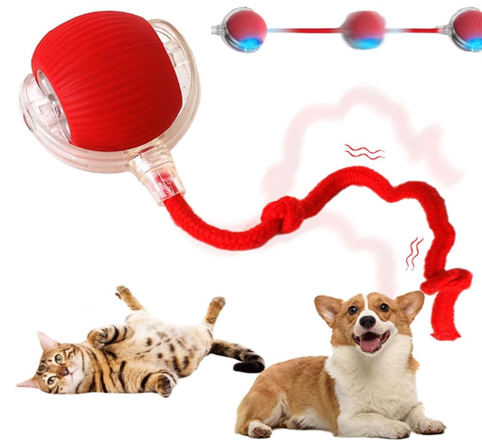 Pelota Interactiva Para Perros Pequeños Y Gatos