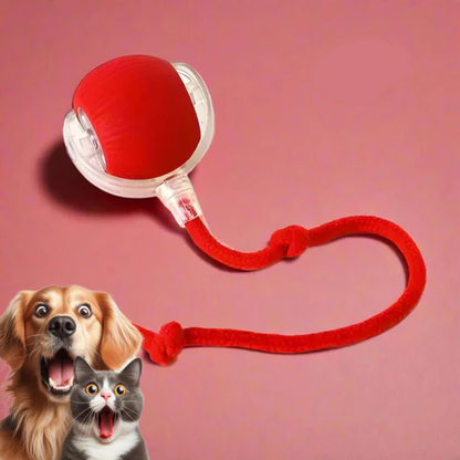 Pelota Interactiva Para Perros Pequeños Y Gatos