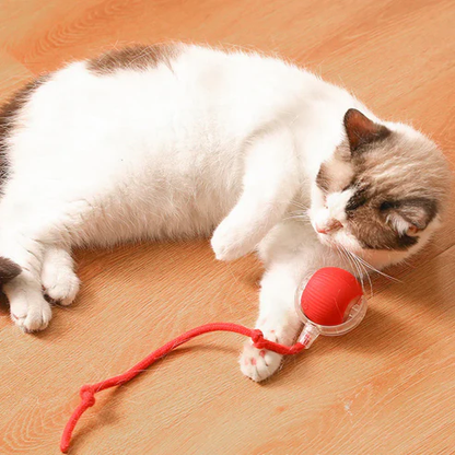 Pelota Interactiva Para Perros Pequeños Y Gatos