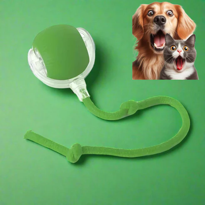Pelota Interactiva Para Perros Pequeños Y Gatos
