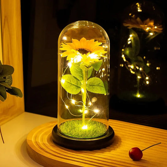 Girasol Eterno Capsulado