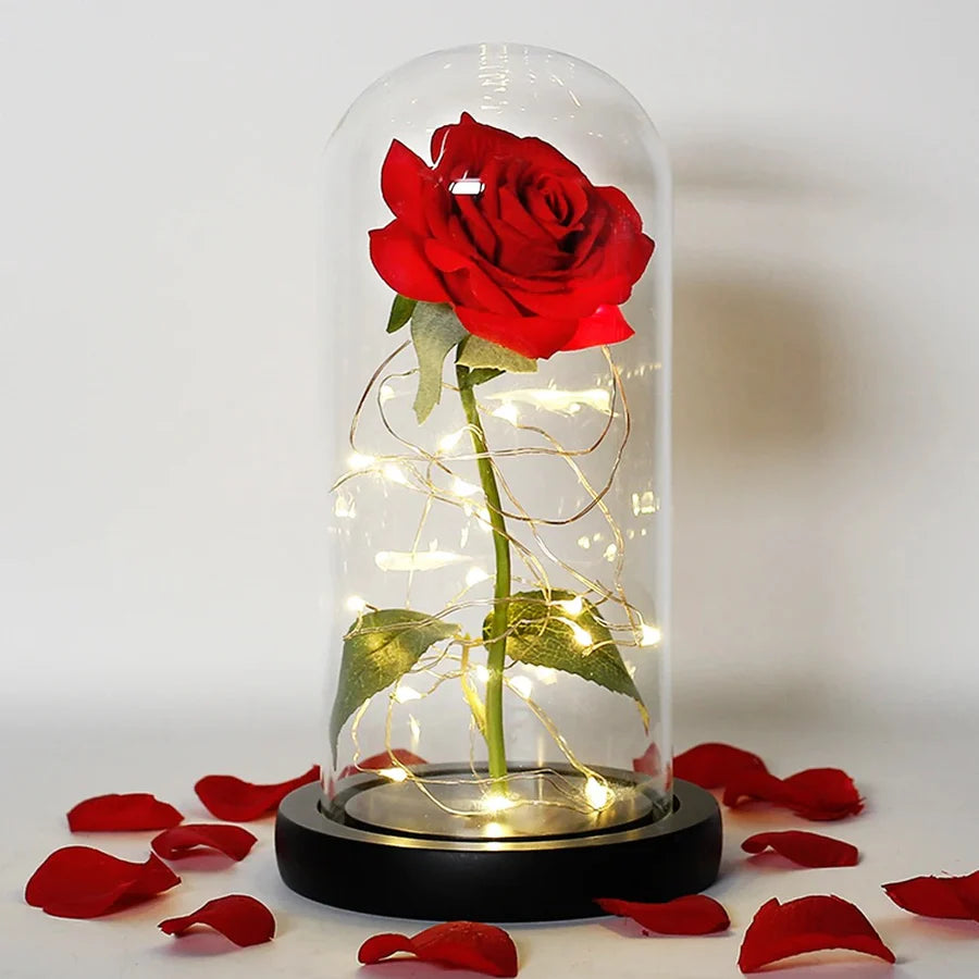 Cúpula de Cristal con Rosa Eterna