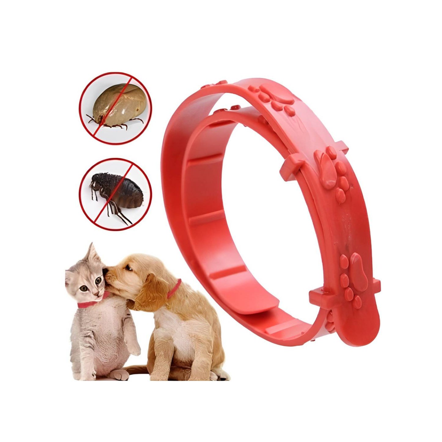Collar Antipulgas para Perros y Gatos: ¡Protege a tu Mascota de Pulgas y Garrapatas! 🐾🛡️