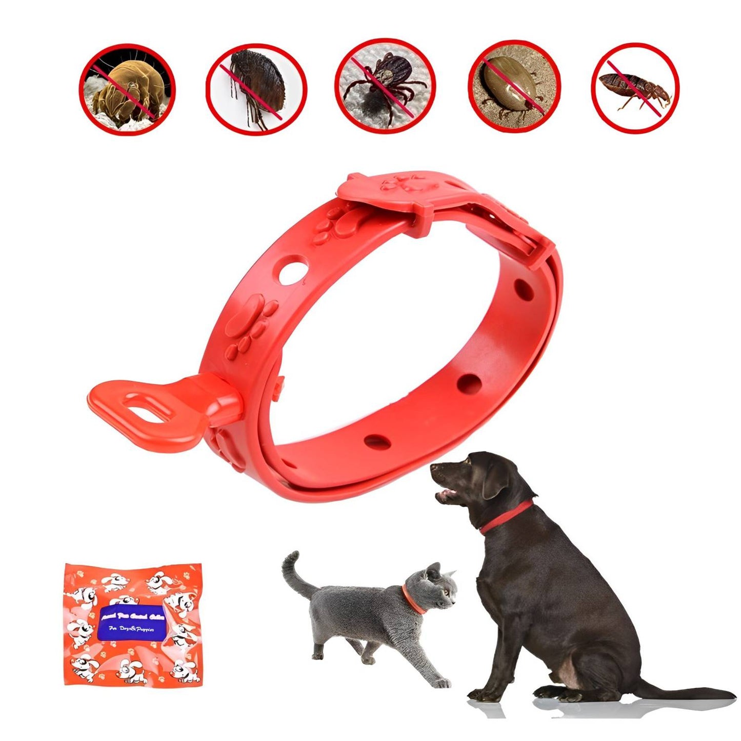 Collar Antipulgas para Perros y Gatos: ¡Protege a tu Mascota de Pulgas y Garrapatas! 🐾🛡️