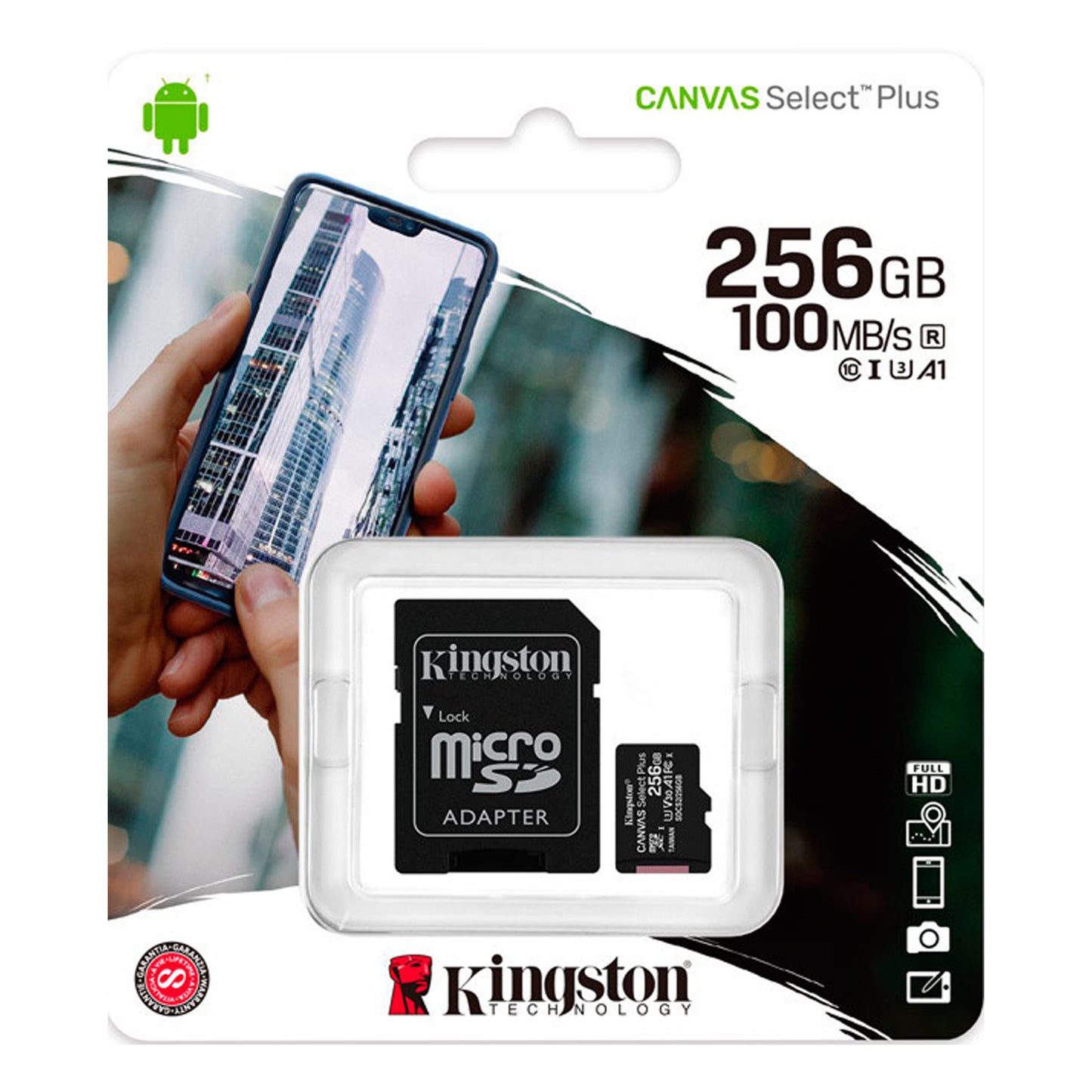 Memoria Microsd 256gb
